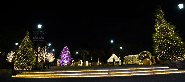 141130 america.jpg
